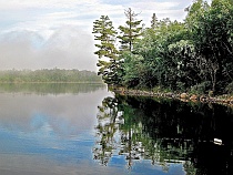 Shoreline for Bass Fishing